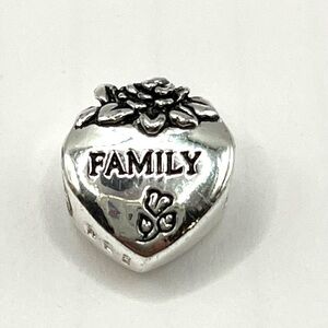 FAMILY Heart love charm Slide style charm! 925  SS European Style Special